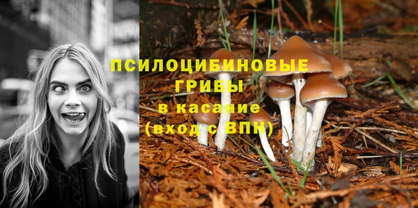 дурь Бугульма