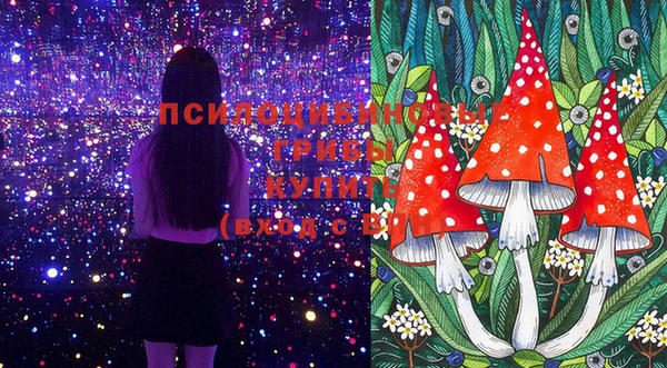 дурь Бугульма