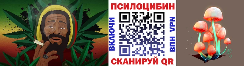 Псилоцибиновые грибы Psilocybine cubensis  Набережные Челны 